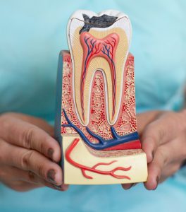 بهترین دندانپزشک شیراز برای عصب کشی